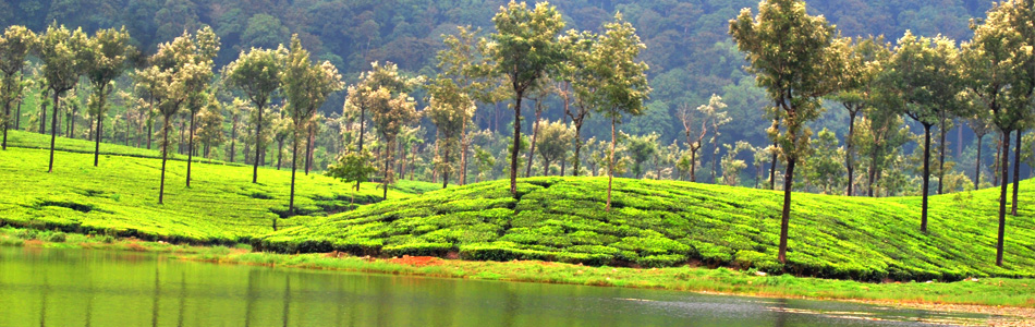 chennai to valparai tempo traveller